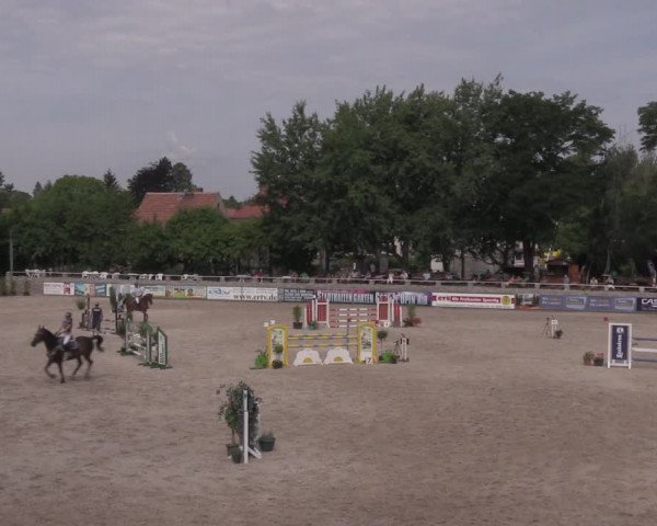 Reitturnier Görlitz 2017