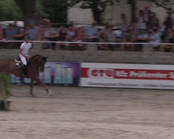 Reitturnier Görlitz 2017