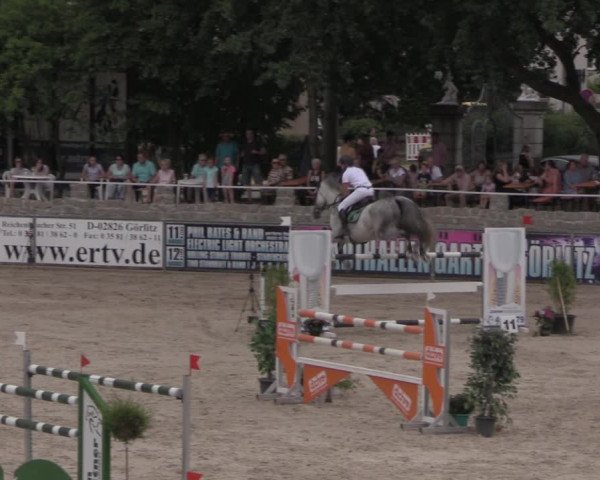 Reitturnier Görlitz 2017