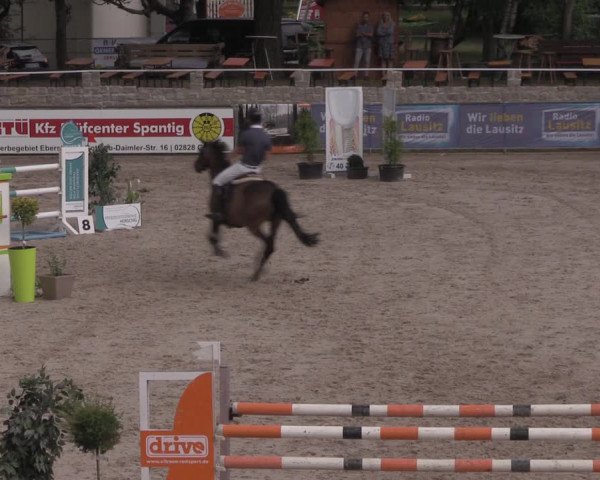 Reitturnier Görlitz 2017