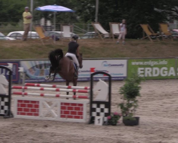 Reitturnier Görlitz 2017