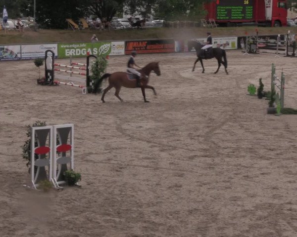 Reitturnier Görlitz 2017