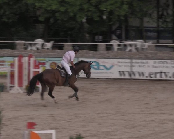 Reitturnier Görlitz 2017