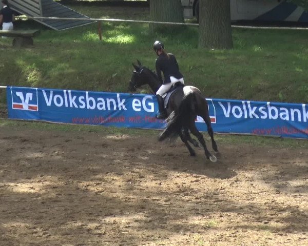 Reitturnier CSN Calvörde 2017