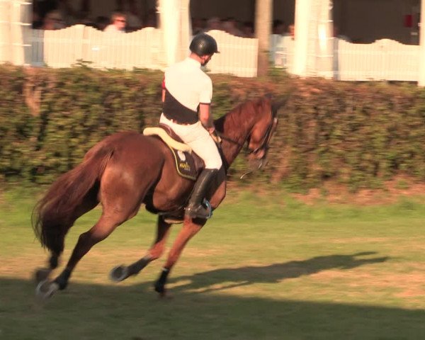 Reitturnier Vlotho-Exter 2017