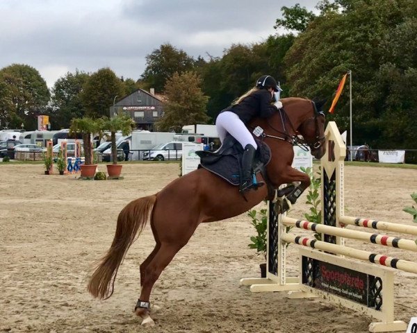 jumper Gorithyia (KWPN (Royal Dutch Sporthorse), 2011, from Bugatti VDL)