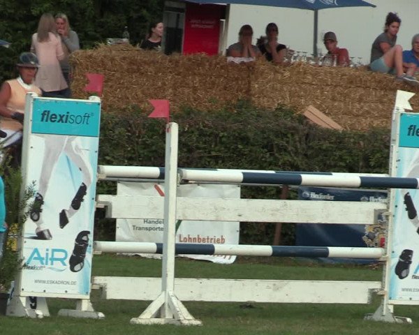 Reitturnier Vlotho-Exter 2017