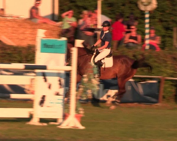 Reitturnier Vlotho-Exter 2017