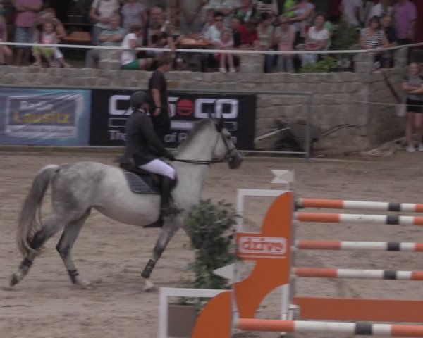 Reitturnier Görlitz 2017