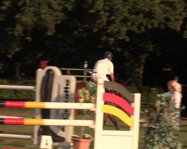 Reitturnier Vlotho-Exter 2017