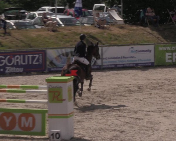 Reitturnier Görlitz 2017