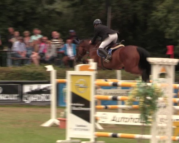 Reitturnier Vlotho-Exter 2017
