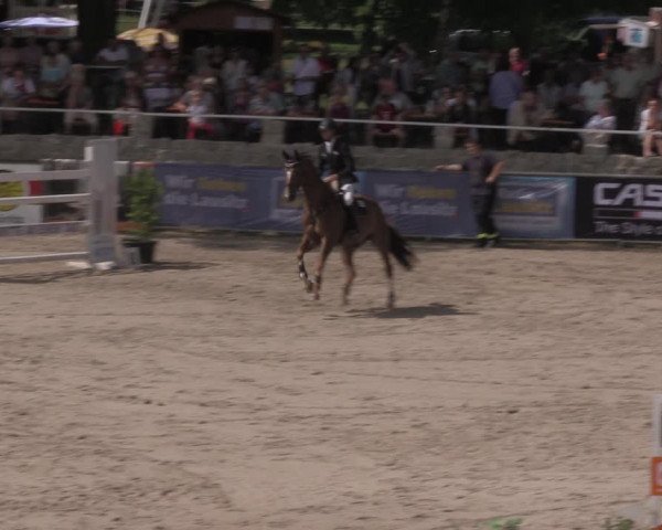 Reitturnier Görlitz 2017