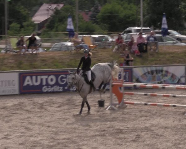 Reitturnier Görlitz 2017