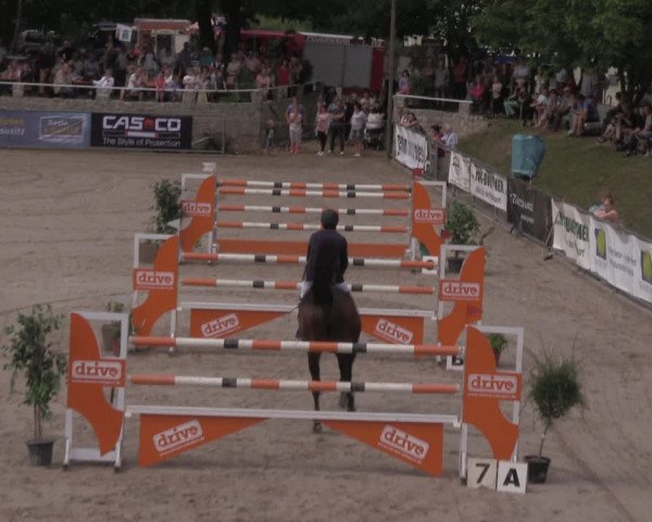 Reitturnier Görlitz 2017