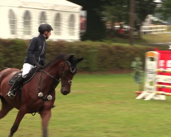 Reitturnier Vlotho-Exter 2017
