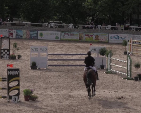 Reitturnier Görlitz 2017