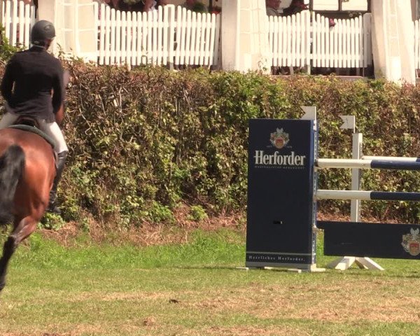 Reitturnier Vlotho-Exter 2017
