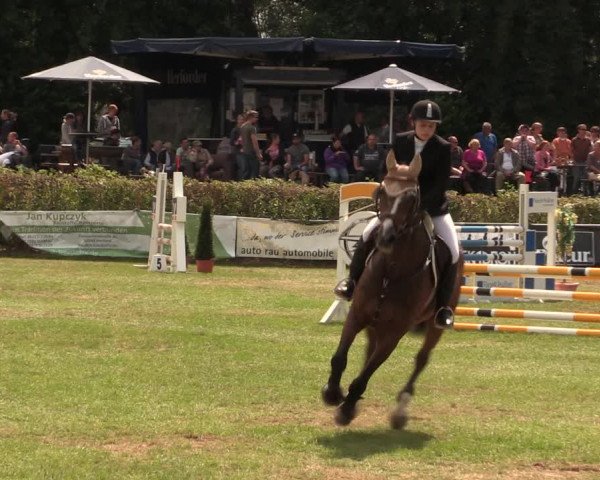 Reitturnier Vlotho-Exter 2017