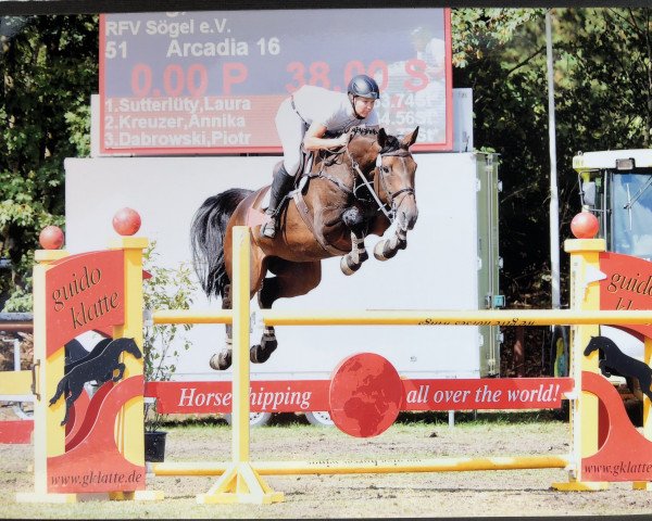 broodmare B-Arcadia (Holsteiner, 2009, from Aragorn W)