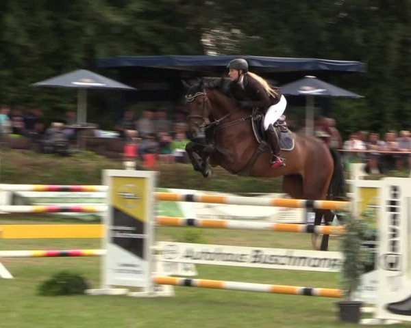 Reitturnier Vlotho-Exter 2017