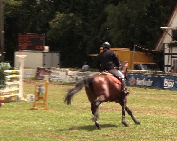 Reitturnier Vlotho-Exter 2017
