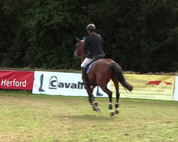 Reitturnier Vlotho-Exter 2017
