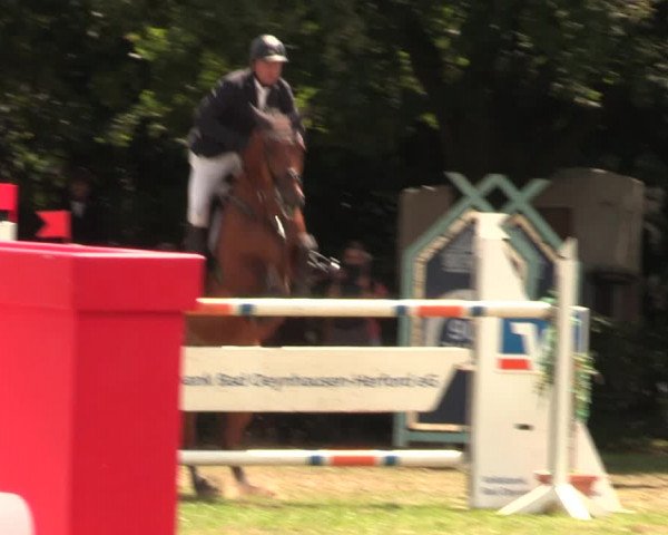 Reitturnier Vlotho-Exter 2017