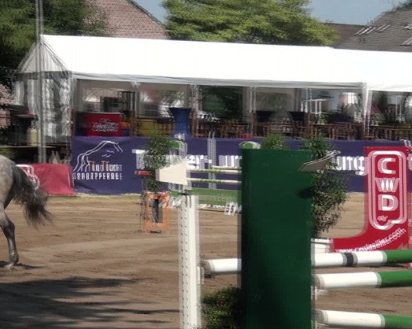 Reitturnier Erkrath-Unterfeldhaus 2017