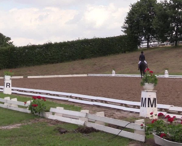 Reitturnier Vlotho-Exter 2017