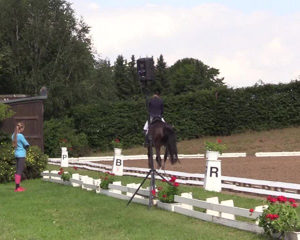 Reitturnier Vlotho-Exter 2017