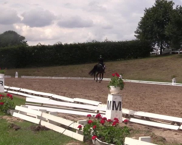 Reitturnier Vlotho-Exter 2017