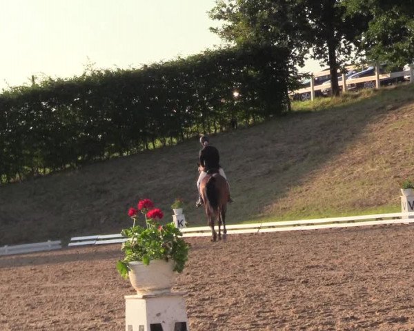 Reitturnier Vlotho-Exter 2017