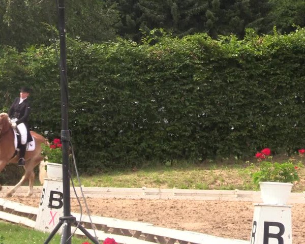 Reitturnier Vlotho-Exter 2017