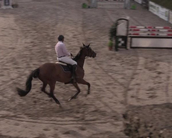 Reitturnier Görlitz 2017