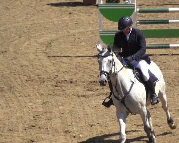 Reitturnier CSN Calvörde 2017