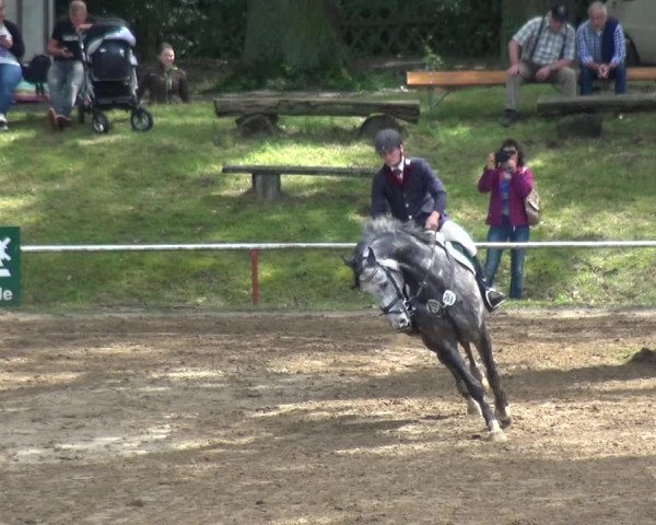 Reitturnier CSN Calvörde 2017