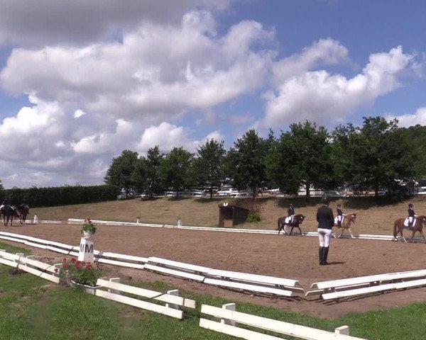 Reitturnier Vlotho-Exter 2017