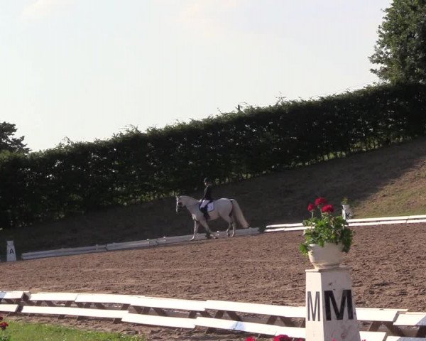 Reitturnier Vlotho-Exter 2017