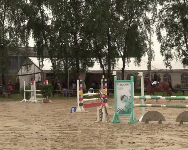 Reitturnier Herbern 2017