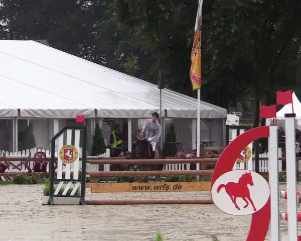 Reitturnier Münster-Handorf 2017
