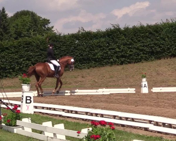 Reitturnier Vlotho-Exter 2017