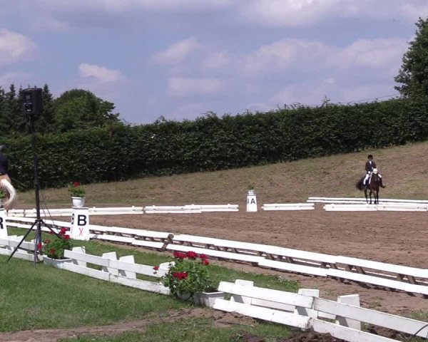 Reitturnier Vlotho-Exter 2017