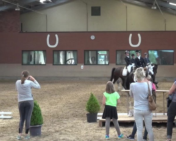 Reitturnier Neuss-Allerheiligen 2017