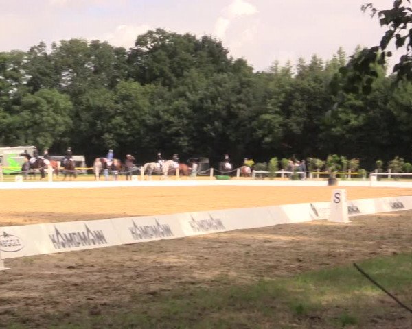 Euregioturnier Wietmarschen 2017