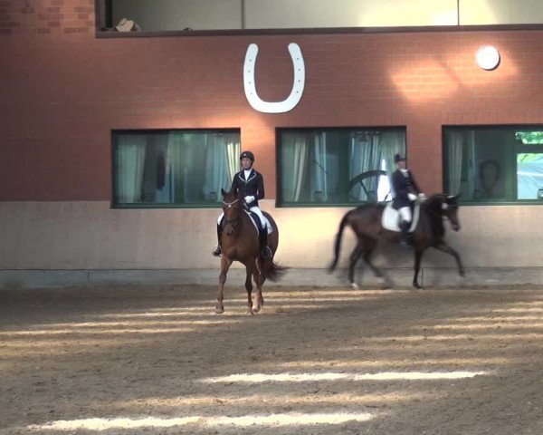 Reitturnier Neuss-Allerheiligen 2017