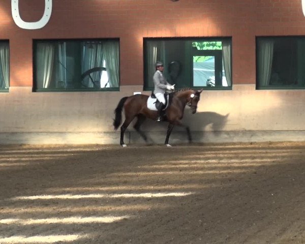 Reitturnier Neuss-Allerheiligen 2017