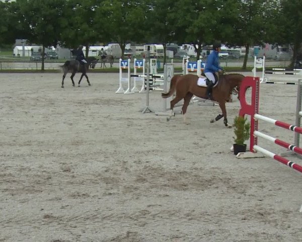 Reitturnier Rot am See- Musdorf 2017