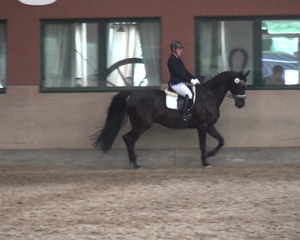 Reitturnier Neuss-Allerheiligen 2017