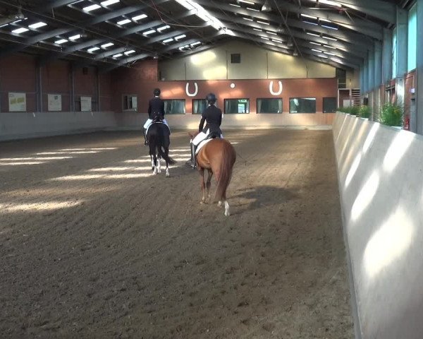 Reitturnier Neuss-Allerheiligen 2017